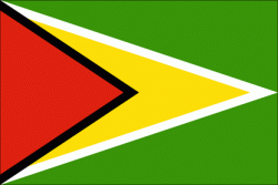 Guyana Flag